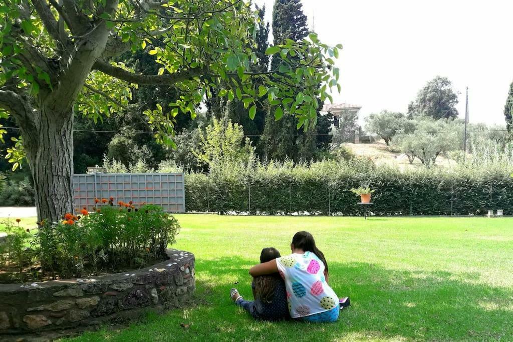 A House Between Ancient Olympia And The Ionian Sea Levendokhórion Eksteriør bilde